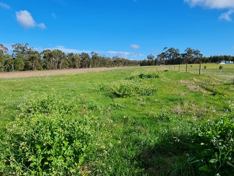 Off Grid Land on Rural Estate