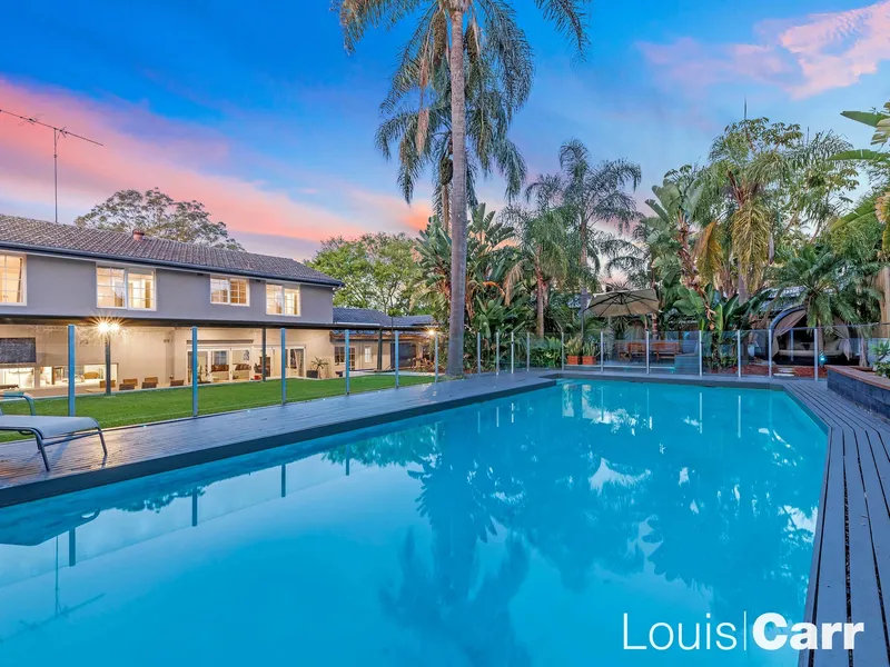 Entertainer's Paradise