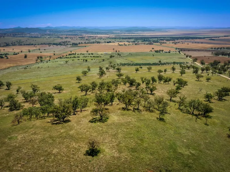 Rare rural opportunity in sought-after Willow Tree district