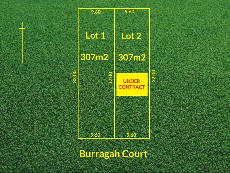 Your Dream Starts Here!