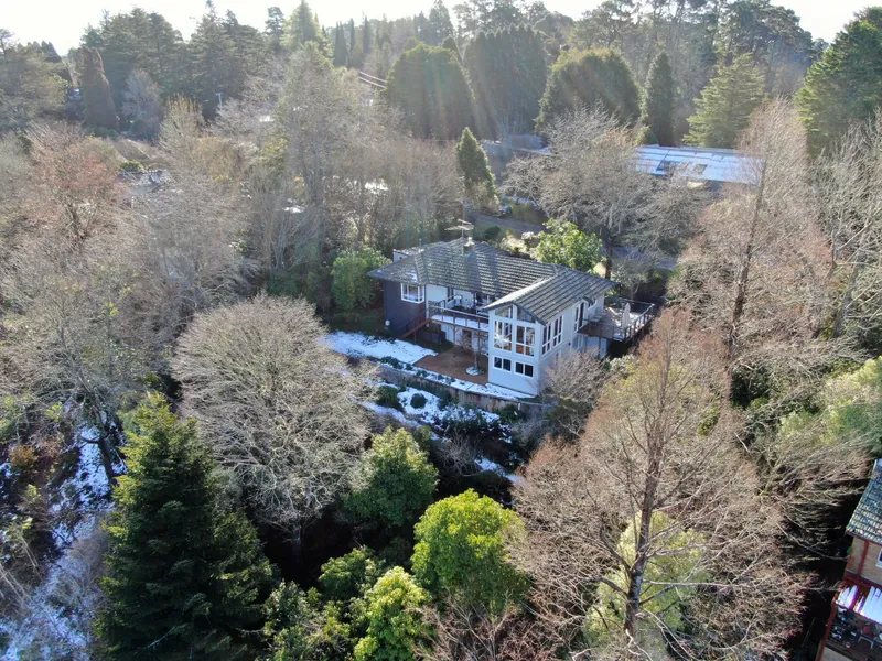 'Something Very Special'