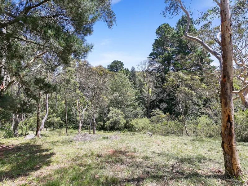 A stunning bush backdrop