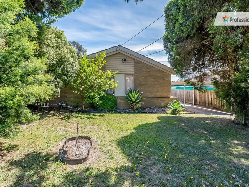 CLOSE TO EVERYTHING!