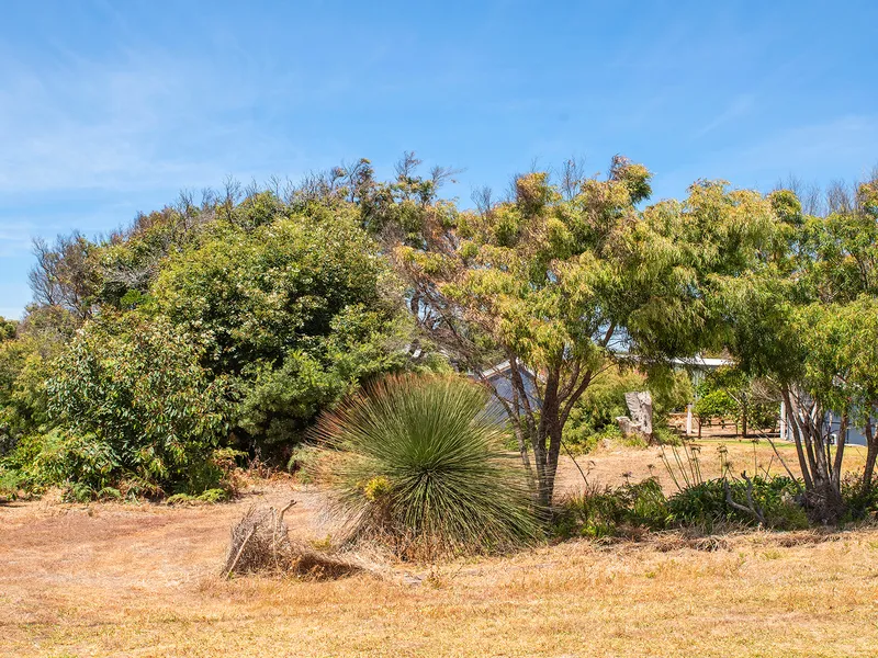 OCEAN AND RIVER MOUTH VIEWS