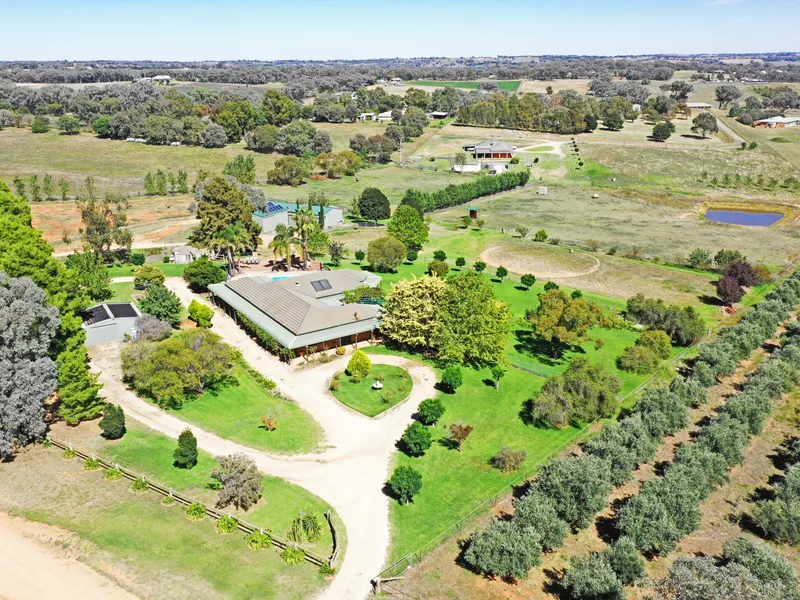 There is No Substitute for Quality!