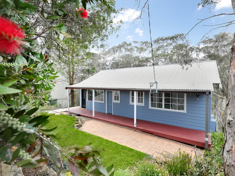 MOUNTAIN TREE CHANGE