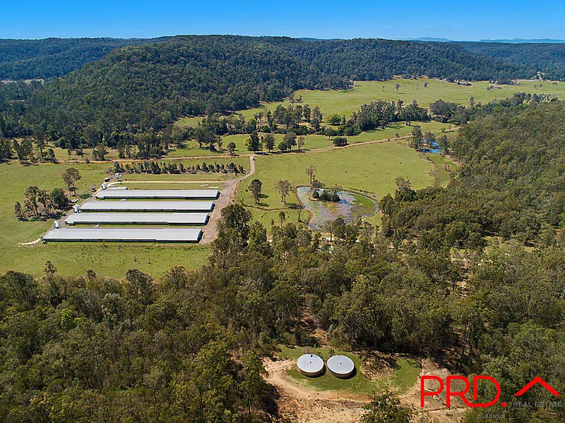GRAZING PROPERTY AND POULTRY SHEDS