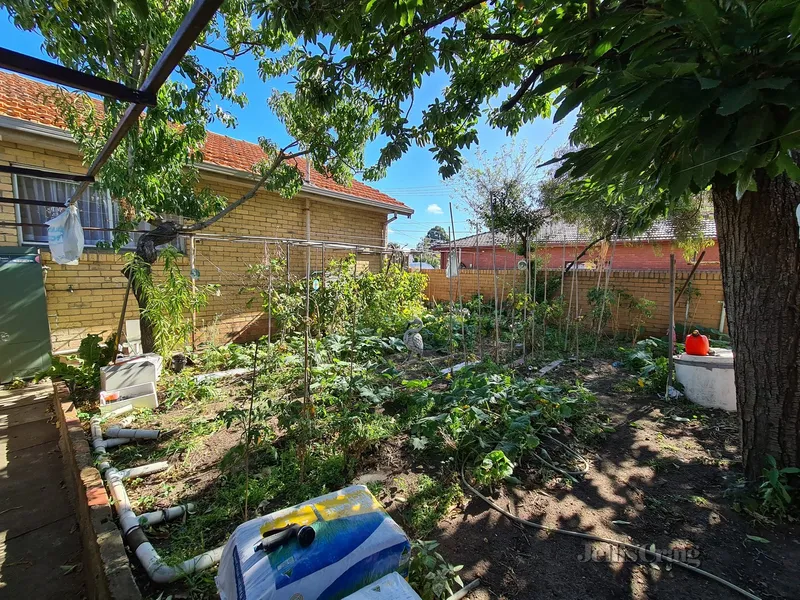 Huge rear backyard with a veggie patch!