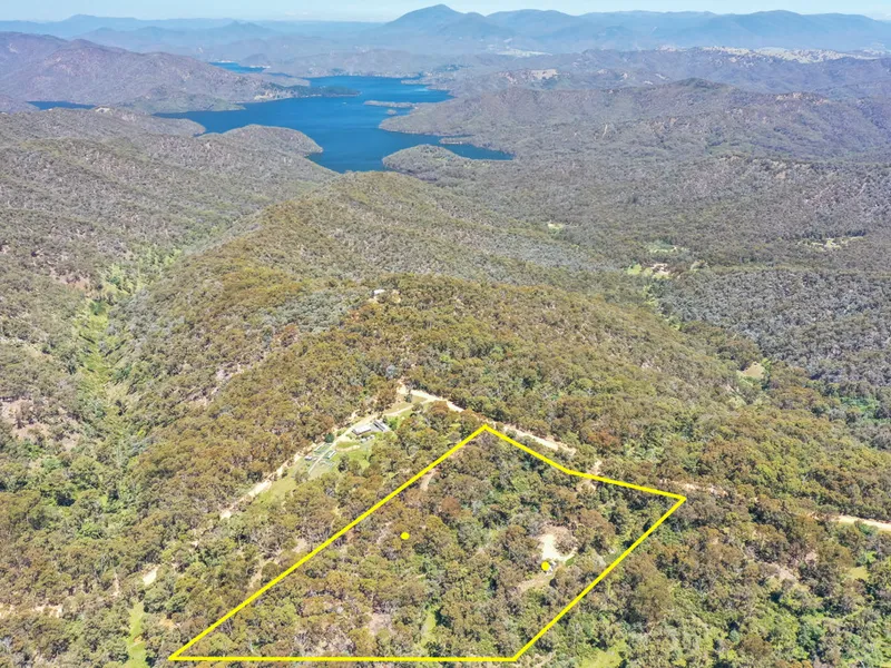 Secluded cabin nestled in a bush block