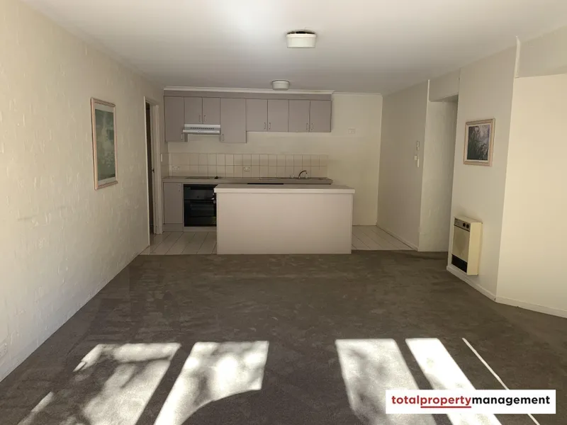 Sunny 2 bedroom unit