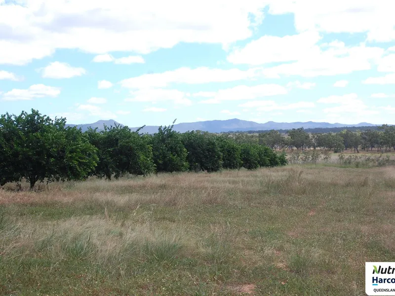 Rural Lifestyle with Income Potential