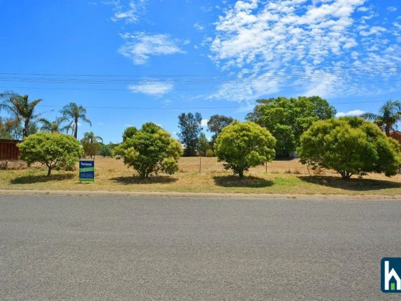 Fantastic Opportunity