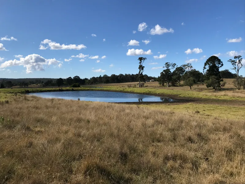 Beautiful rural blocks on doorstep of Crows Nest