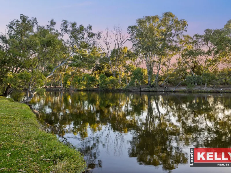 HIGHLY PRIZED TOMATO LAKE PRECINCT