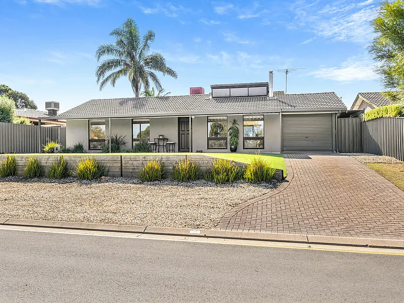 neat entertainer with endless smashed avo