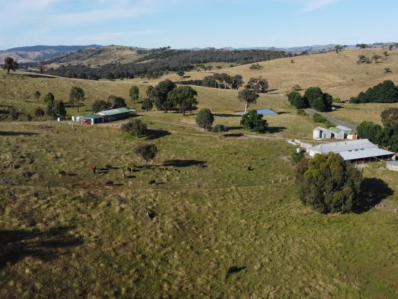 PICTURESQUE, PRODUCTIVE COUNTRY SETTING