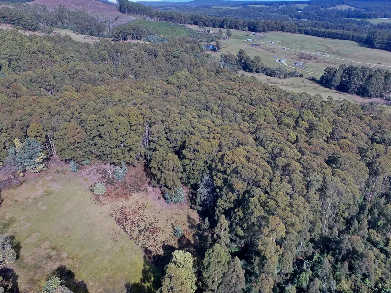 AN OASIS OF NATURAL SERENITY 