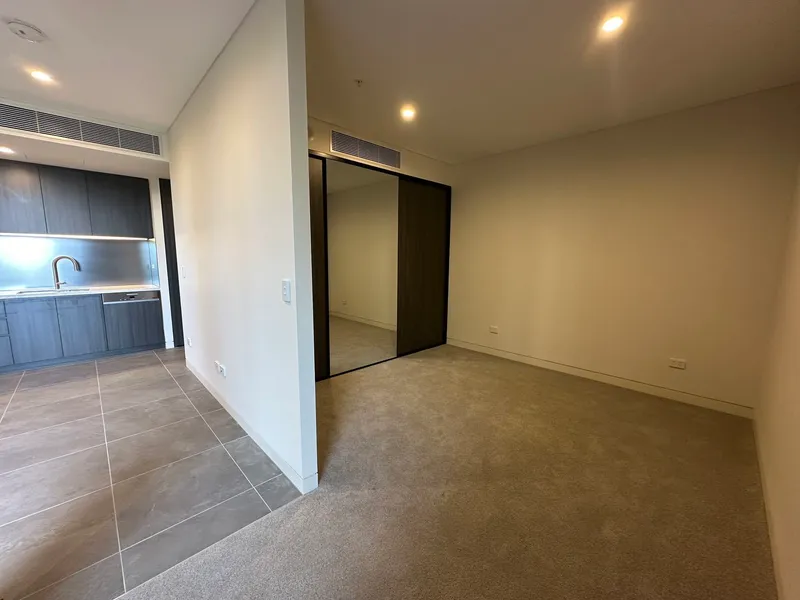 Brand New STUDIO Apartment with closed to homebush station!!!