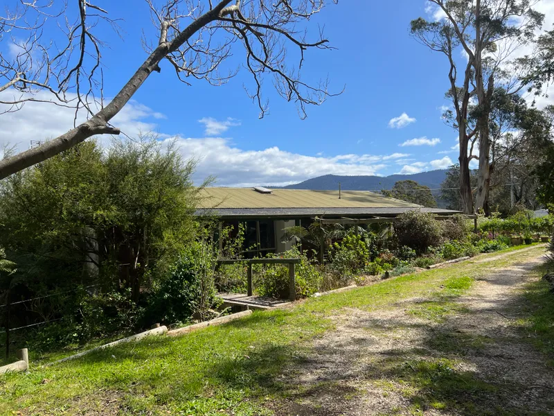 Stunning rural property on over an acre in a great community