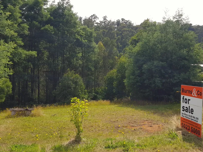 AHH THE SERENITY !!!!