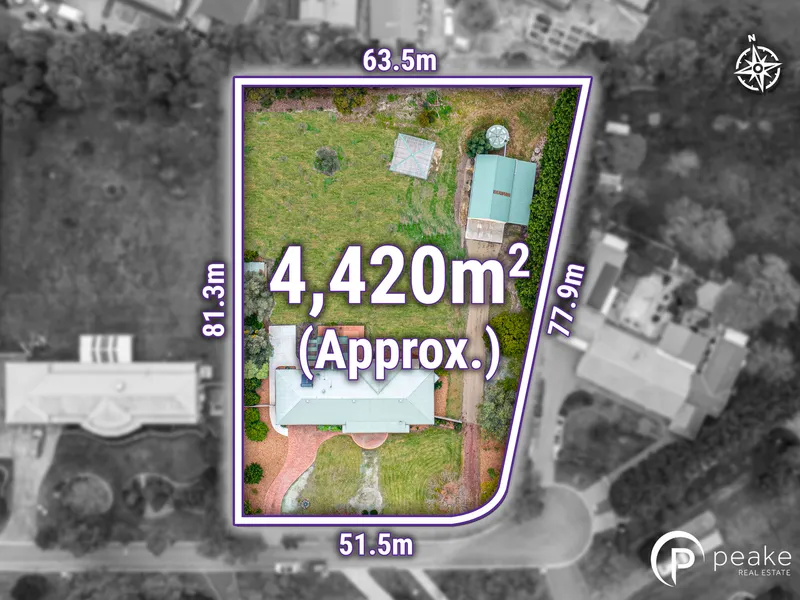 AUCTION SATURDAY 24TH JUNE AT 2:30PM