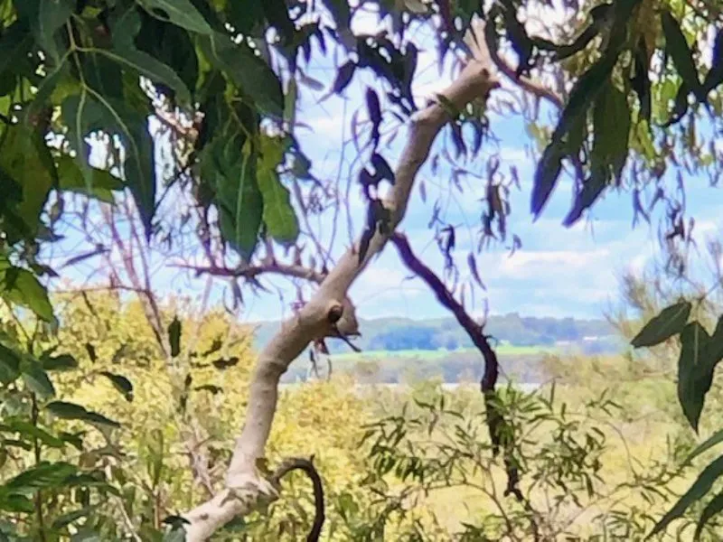 High Level Block on Karragarra Island!