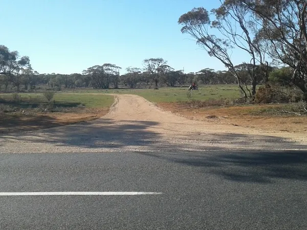 100 Ha (250 acres) Beautiful Mallee block for sale via Morgan SA Price Reduced