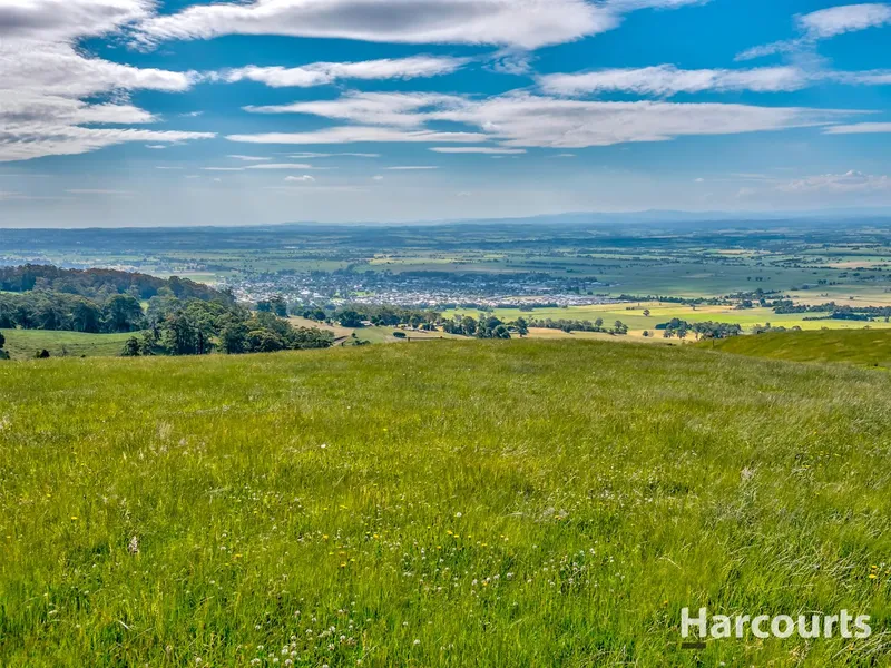140 Acres of Prime Grazing Land - Spectacular Views