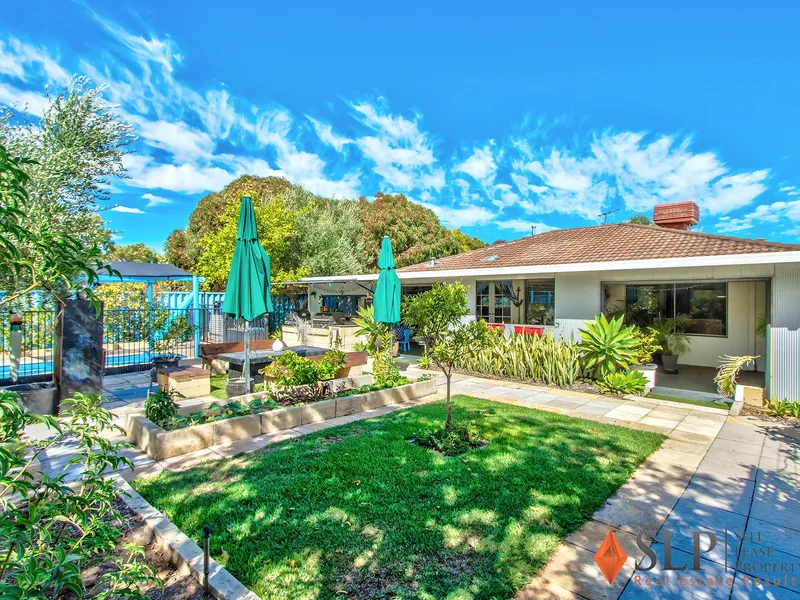 THE ONE YOU HAVE BEEN WAITING FOR!!