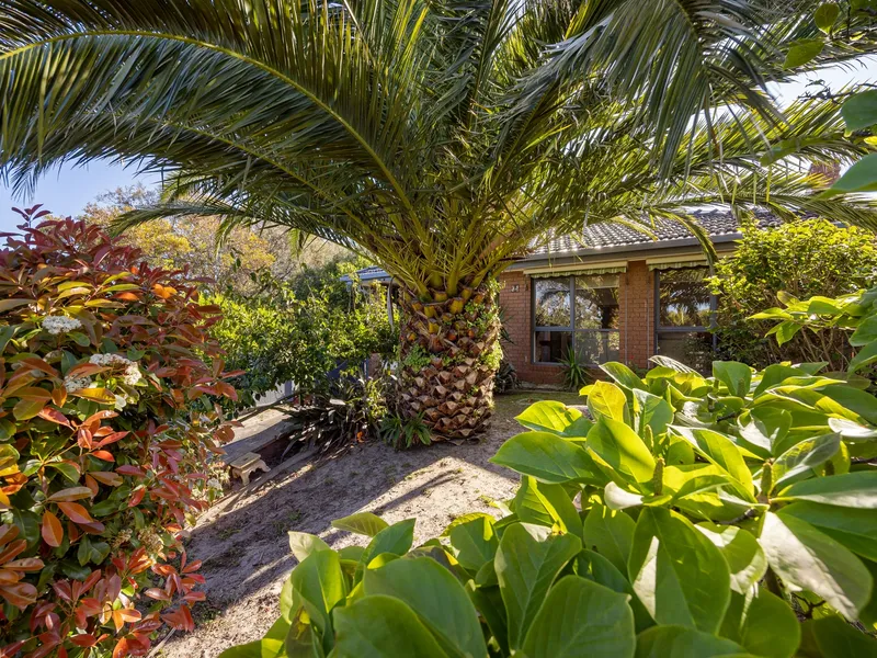 The Family Entertainer- 300 meters to Bay