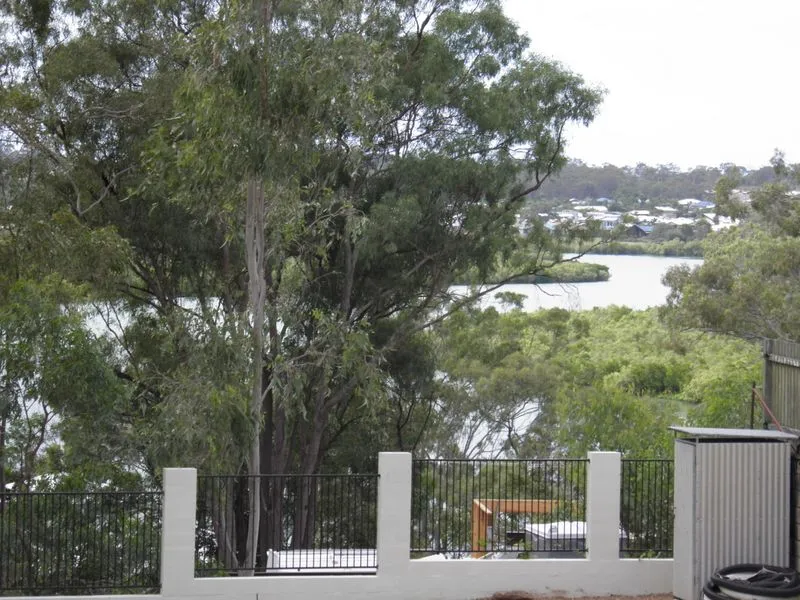 Tree Setting With River Views