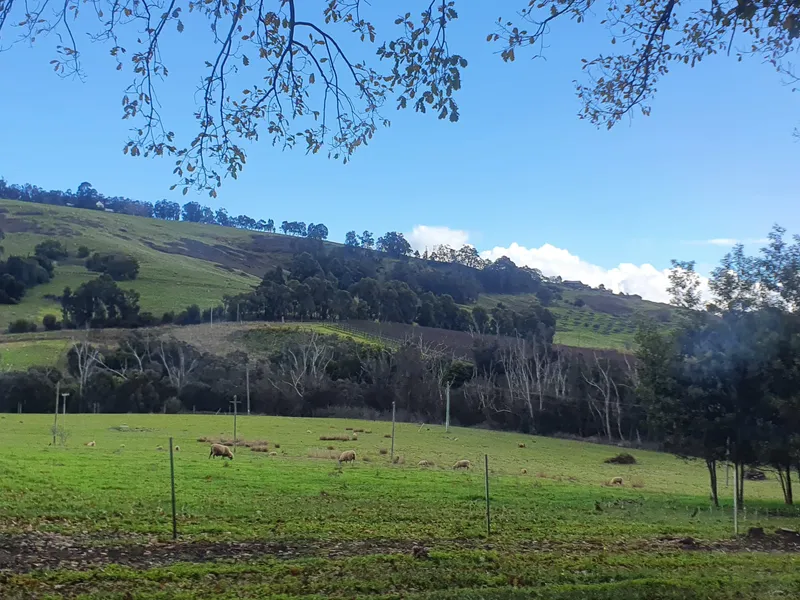 Tranquil Country Lifestyle