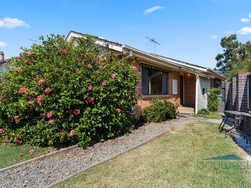 What an Opportunity - No Owners Corp!