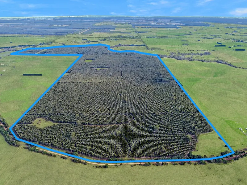 “Smyth Tree Farm” 646.14 acres - 261.48 hectares