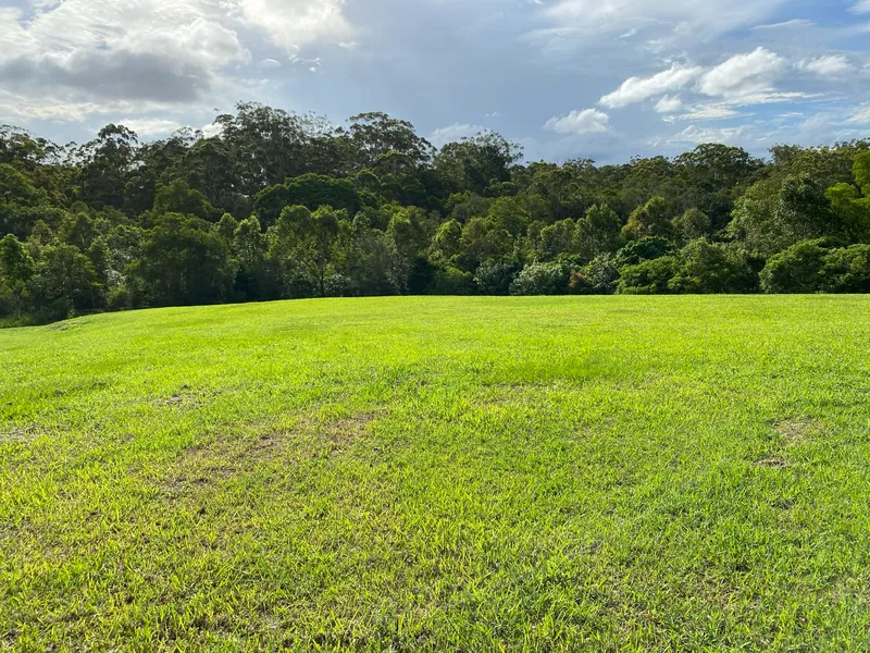 Acreage Land for rent right in the heart of Beerwah