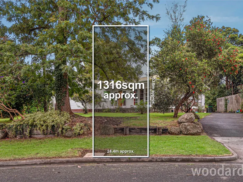 A Big Block for Big Dreams!