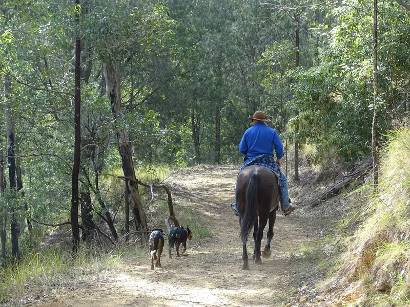 1,270 ACRES (513.35Ha)  . Creek flats rising to rolling hills and High Country plateau  23 Dams. Beautiful farmhouse. Adventure .