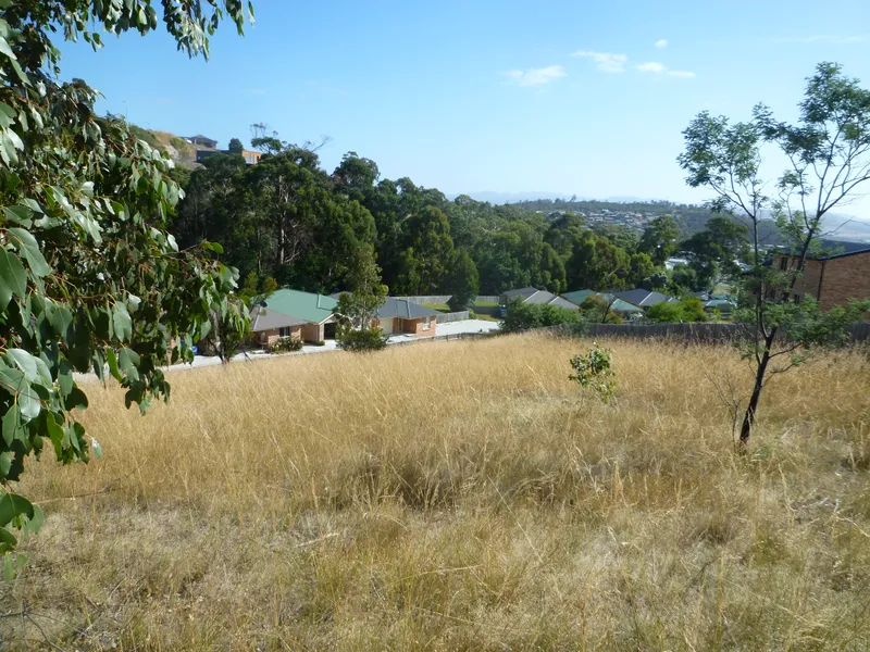 Large Residential Development Block