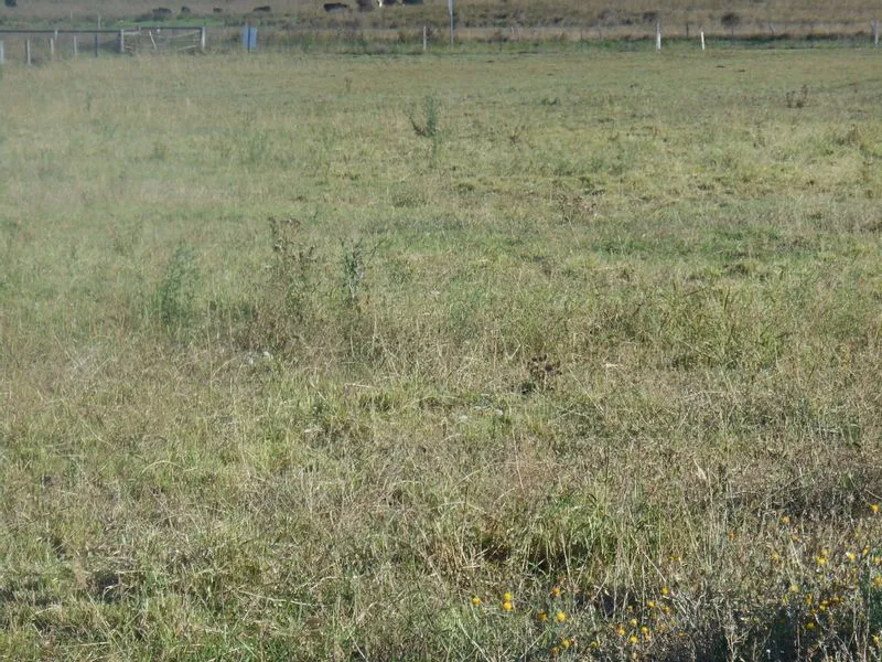 Great Town To Raise A Family!