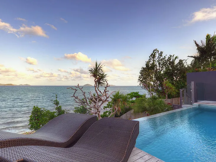 Living with the View