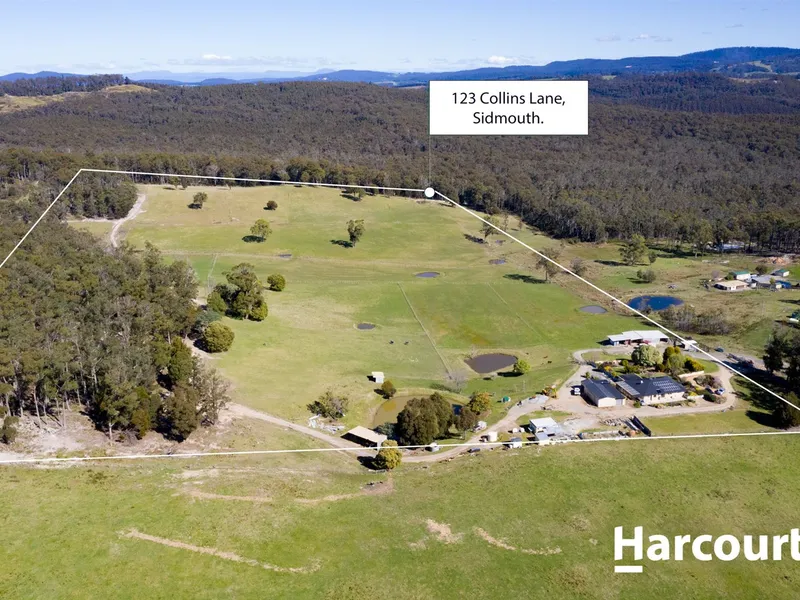 Spacious Home on 65 Acres - Ready for Stock!