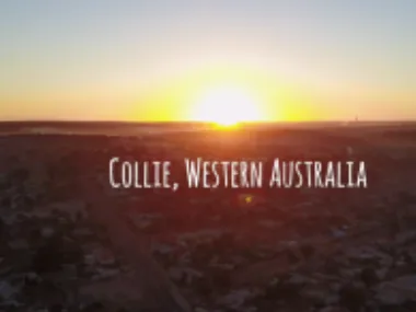 Collie Southside, Come and Check it out!