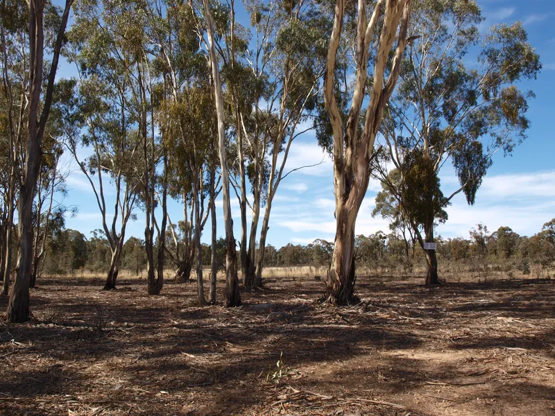 Escape to the country - 9.3 acres (3.8ha)  in a quiet court