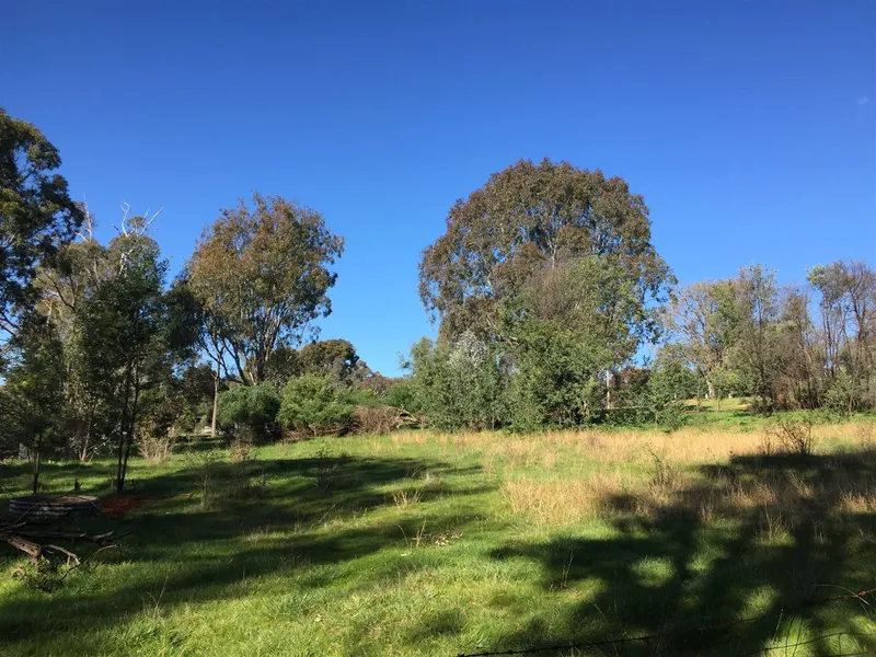 Vacant Land - Beautiful Location