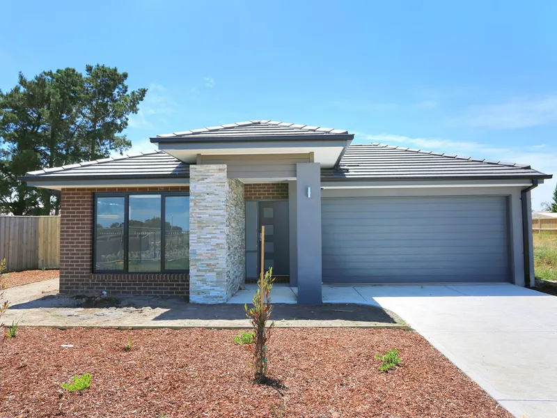 Brand new light filled four bedroom family home