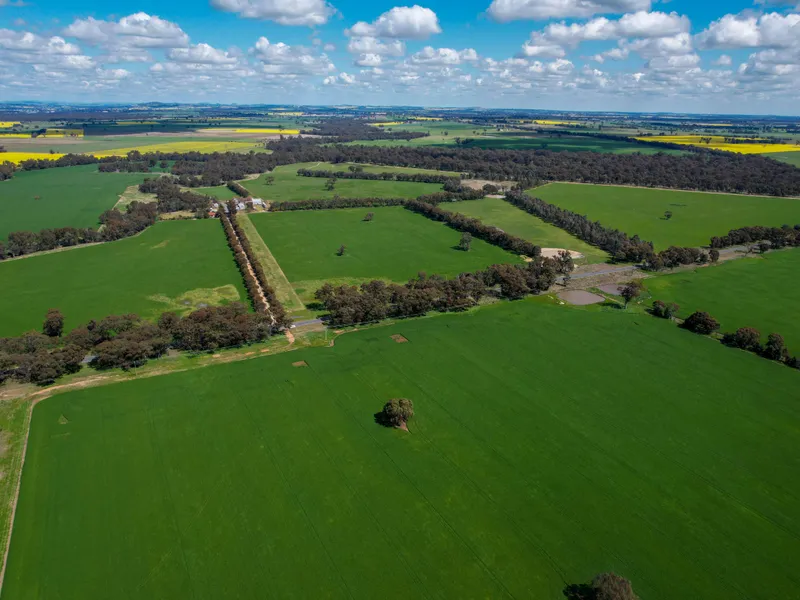 A Long Family Tenure in the Eastern Riverina