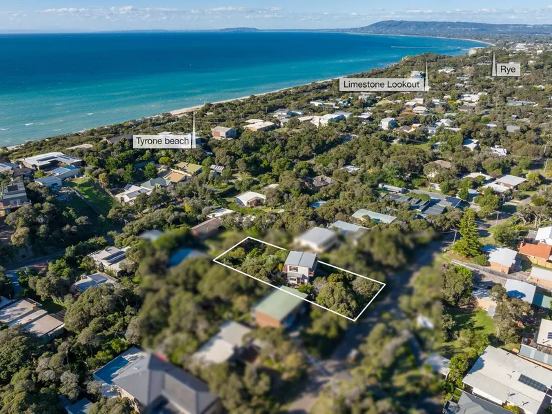 Peaceful Treetop Escape!