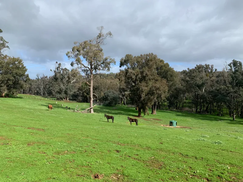 It's All Happening in Greenbushes!
