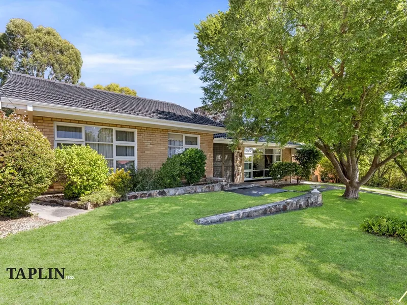 A Beautiful Immaculate Classic 