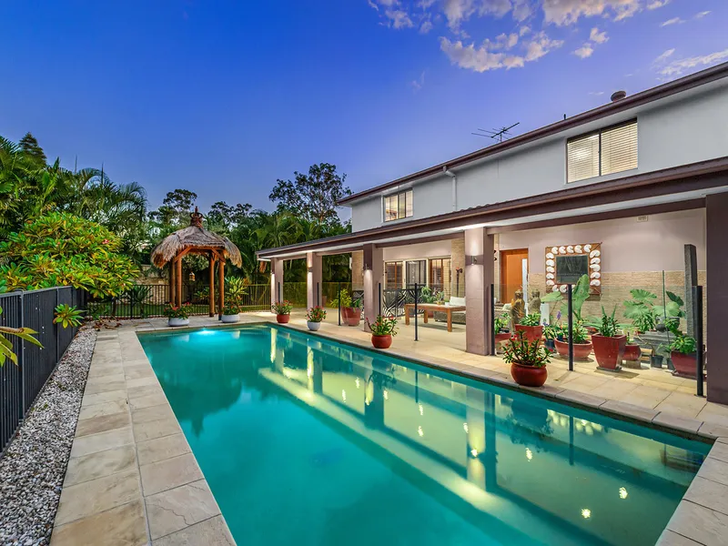 Fig Tree Pocket Masterpiece